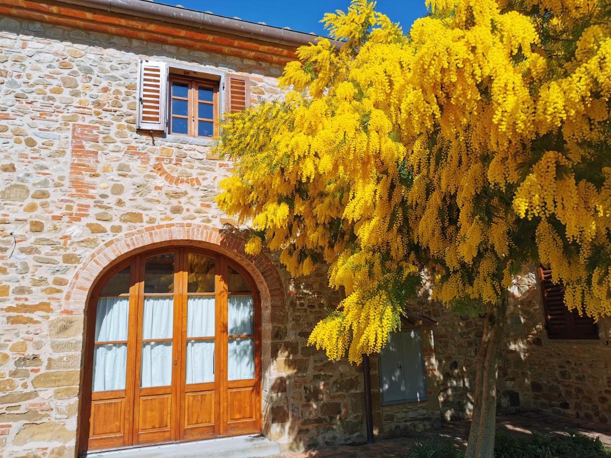 Antico Borgo Frosini Villa Arezzo Kültér fotó