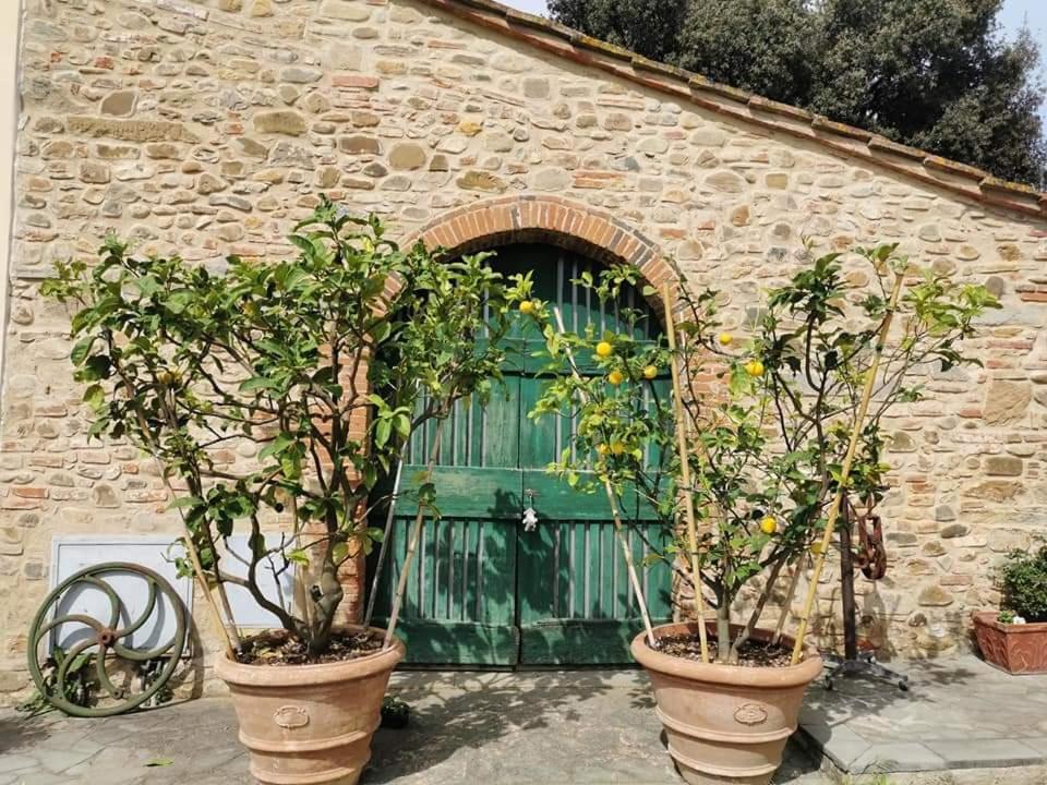 Antico Borgo Frosini Villa Arezzo Kültér fotó
